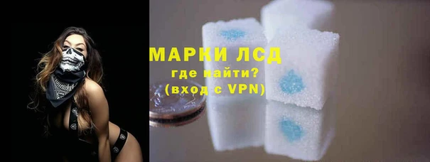 дживик Баксан