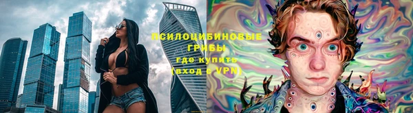 дживик Баксан